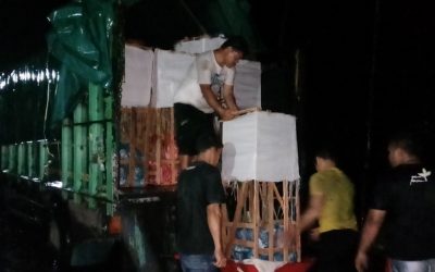 Bibit Durian Super ke Sulawesi Tolitoli