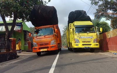 Bibit Durian Super ke Gunungkidul