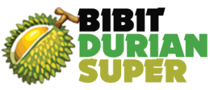 Harga Bibit durian Super Termurah