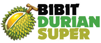 Bibit Durian Super