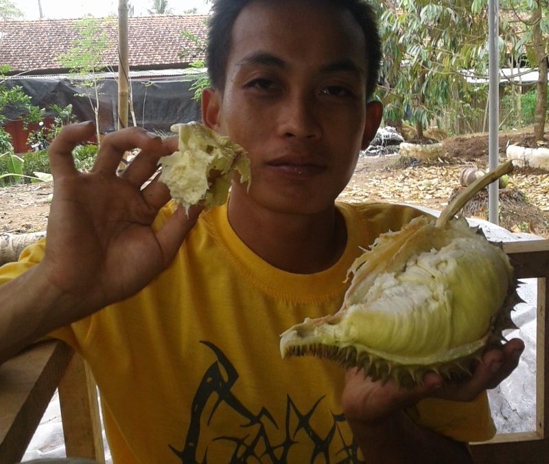 5 Manfaat Kesehatan Makan Durian