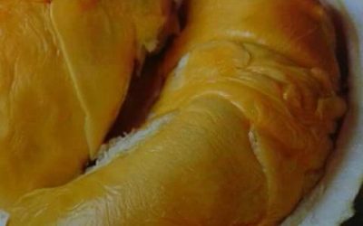 Jual Bibit Durian Banyumas