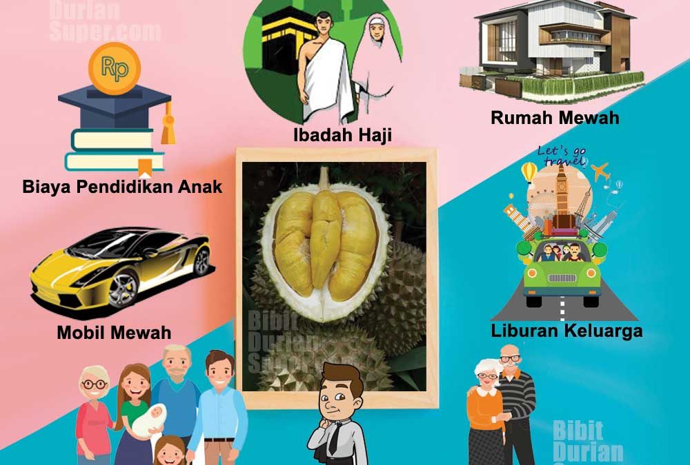keuntungan usaha agrobisnis durian