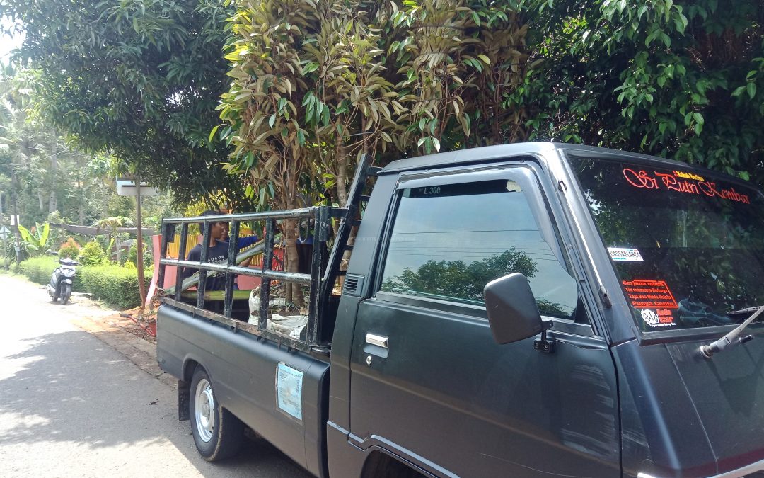 Bibit Durian Bawor ke Wonosobo Jawa Tengah
