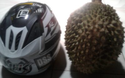 Keunggulan Durian Bawor Banyumas dibanding Lainnya