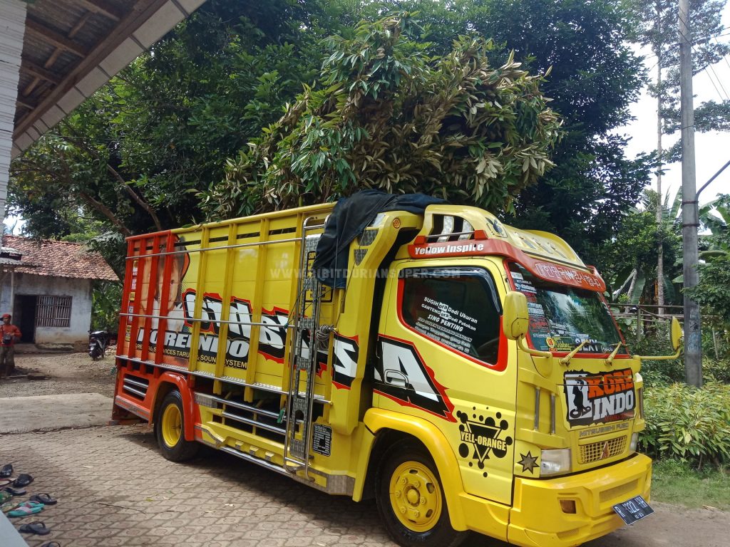 Pengiriman BIbit Durian Super menuju Sunter Jakarta dari Pusat Bibit Durian Banyumas